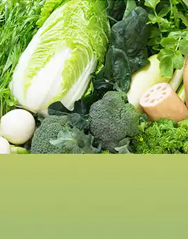 冬野菜の写真